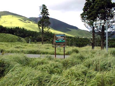 Entrance of Villa Site