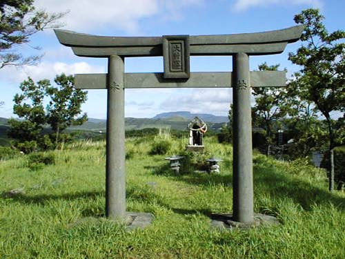 [Torii]