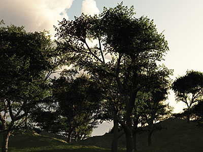 vue3
