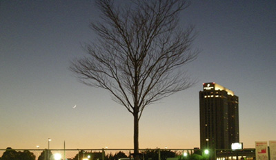 daiba2009