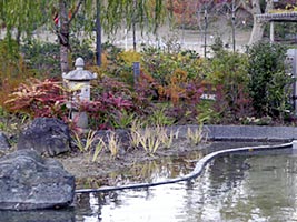 meisho04