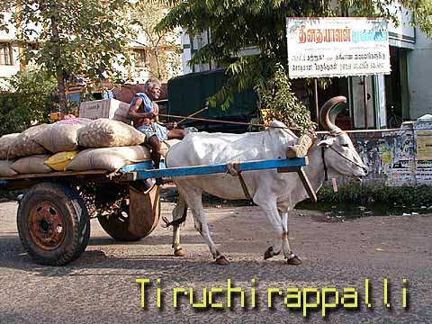 tir01