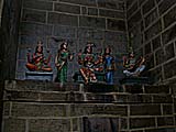 tir16