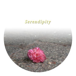 Serendipity
