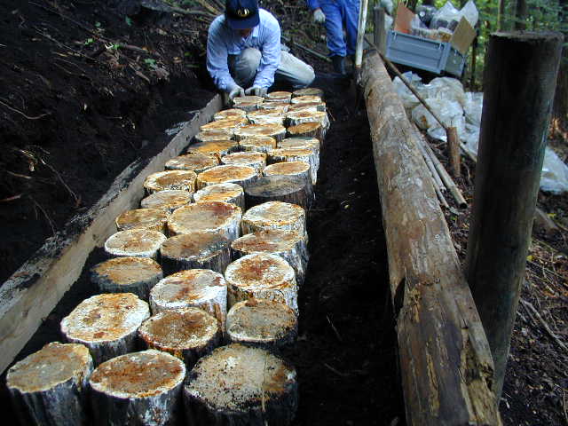 �܂����ׂ�