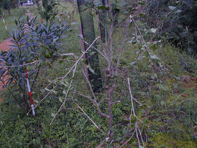 �}���܂�Ă�