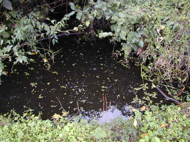 ���ꂢ�ɂȂ����Βr