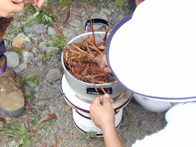 �܂��ύ���