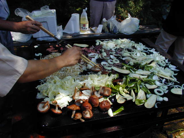 ���͂ǂ����I�I