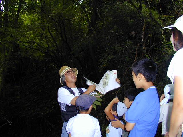 �܂����������