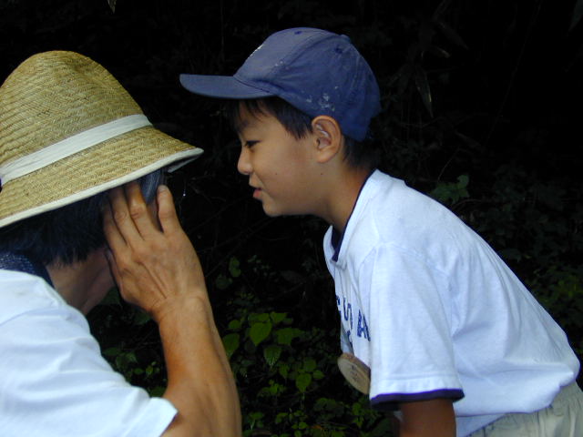 ��������