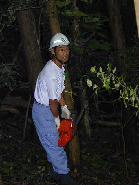 �ْ����Ă���݂����ł�