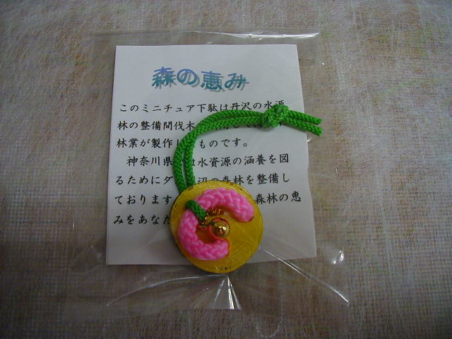 ���邩��ɍw���ӗ~��������~�j����