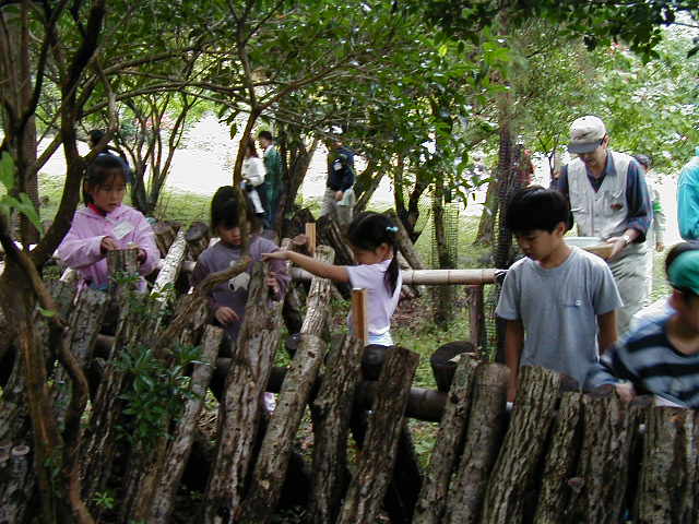 �������A������