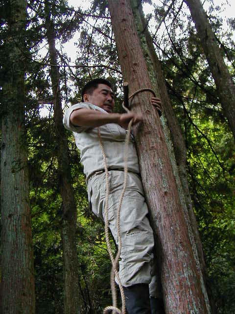 �A���v�X��肫�����`