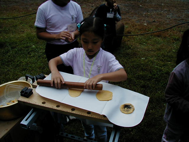 �암�S��̂���ׂ��̌^�ŏĂ��܂�