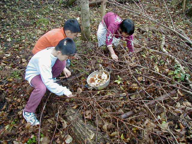 �i���R�ł��B