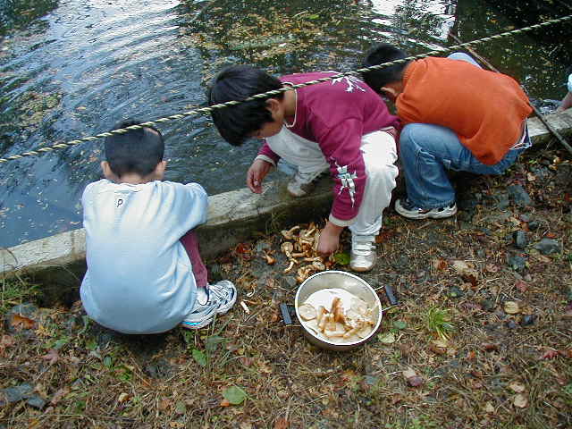 �g���`�ɂ���悤��