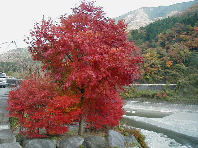 ����Ȋ����`