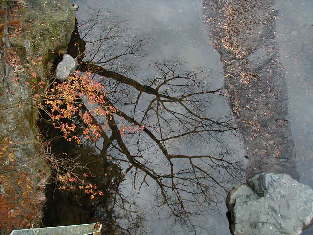 ���̏ォ��E�E�E�e��������