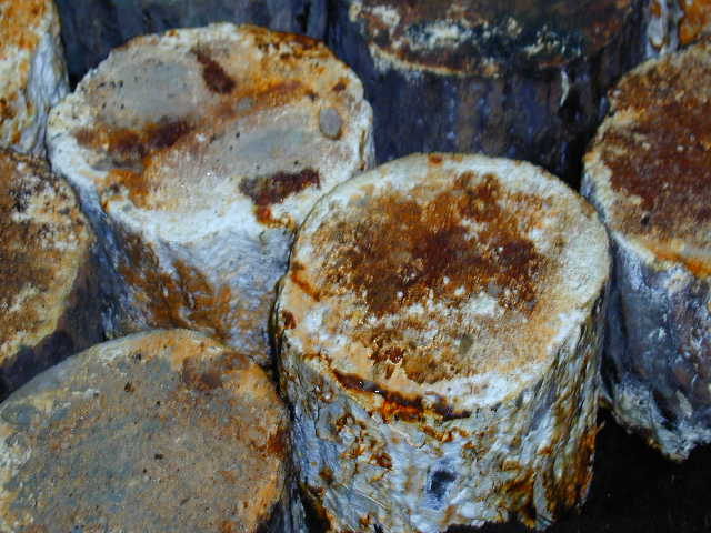 �����̂��ێ��ł�