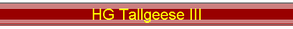 HG Tallgeese III
