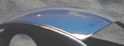 beetle12.jpg (33803 bytes)