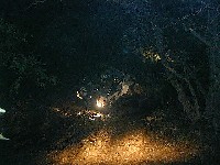  640x480 89,330 Bytes