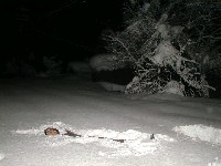  640x480 55,876 Bytes