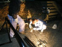  640x480 70,177 Bytes