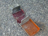  640x480 69,574 Bytes