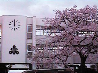 "Sakura" of Mizusawa high school(2000)