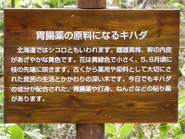 �L�n�_
