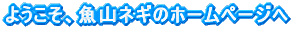 �悤�����A���R�l�M�̃z�[���y�[�W�� 