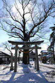 渡岸寺観音堂(向源寺)