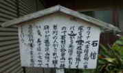 sގ