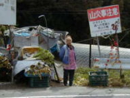 ツーリング記録　板尾沼谷林道