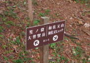 啁x@oR
