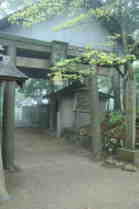 葛城山登山
