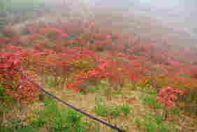 葛城山登山