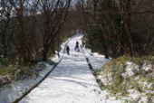 雪の葛城山