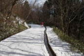 雪の葛城山