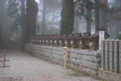 金剛山ハイキング　葛木神社