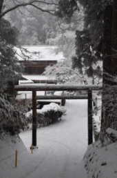 雪の金剛山