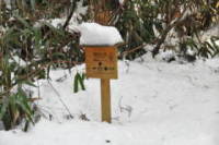 高野山　摩尼山