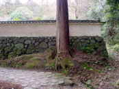 山の辺の道 狭井神社