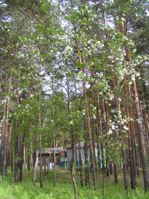 P6020109_1