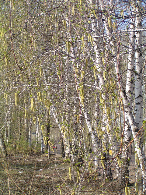 P5010109