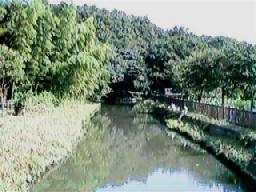 ��p�����`�ۑS���