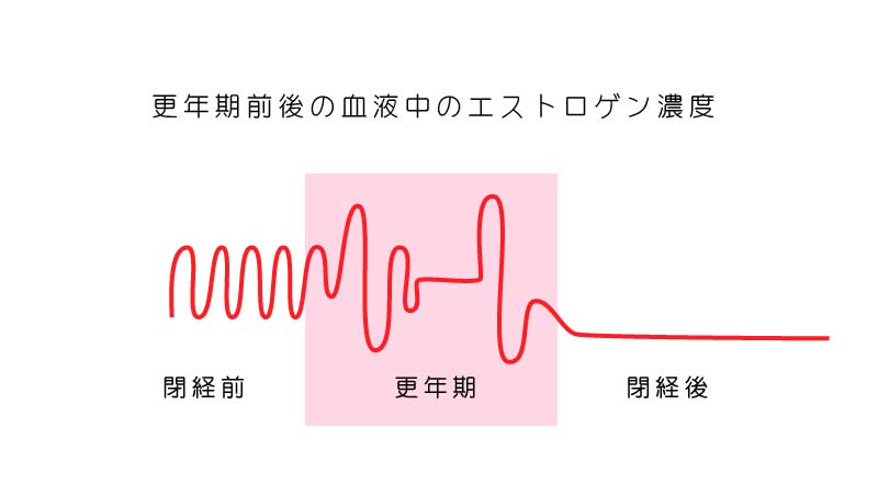 更年期とエストロゲンの変化